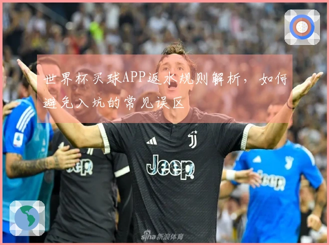 世界杯买球APP返水规则解析，如何避免入坑的常见误区