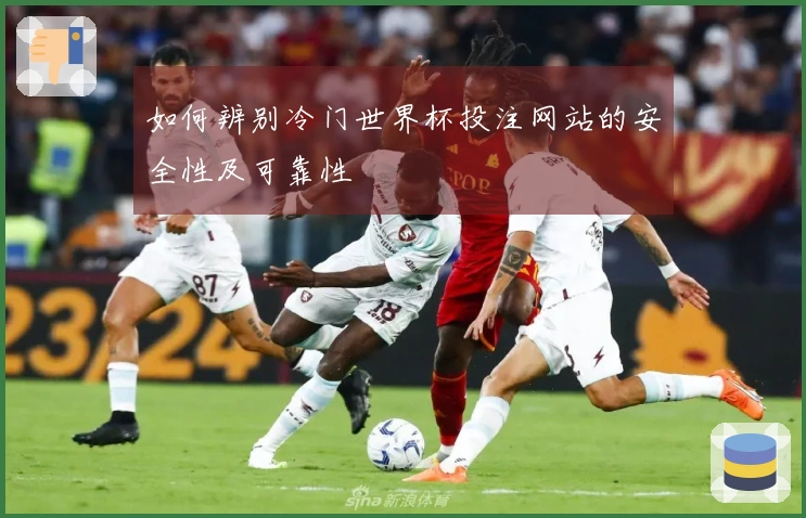 如何辨别冷门世界杯投注网站的安全性及可靠性