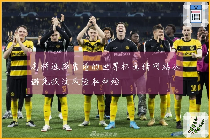 怎样选择靠谱的世界杯竞猜网站以避免投注风险和纠纷
