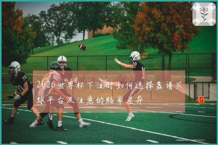 2026世界杯下注时如何选择靠谱买球平台及注意的赔率差异