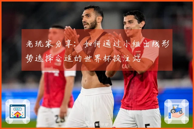 老玩家分享：如何通过小组出线形势选择合适的世界杯投注站
