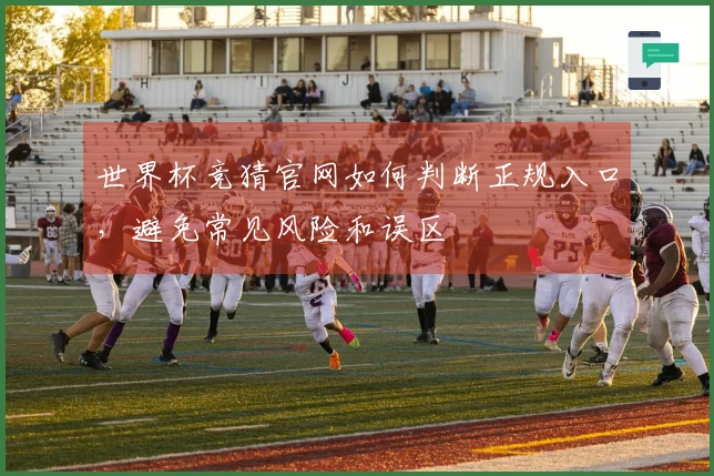 世界杯竞猜官网如何判断正规入口，避免常见风险和误区