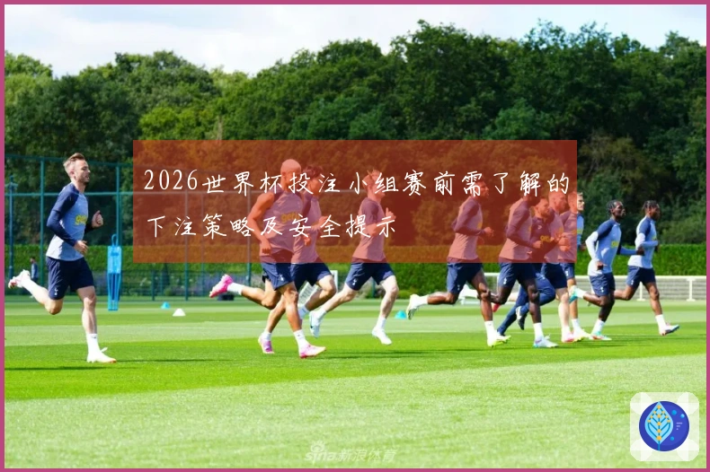 2026世界杯投注小组赛前需了解的下注策略及安全提示