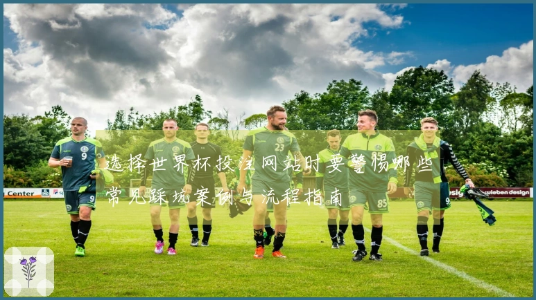 选择世界杯投注网站时要警惕哪些常见踩坑案例与流程指南