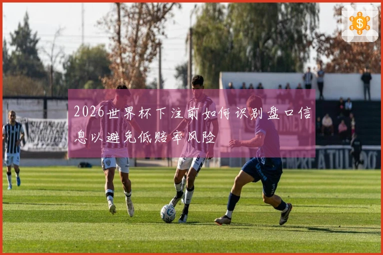 2026世界杯下注前如何识别盘口信息以避免低赔率风险
