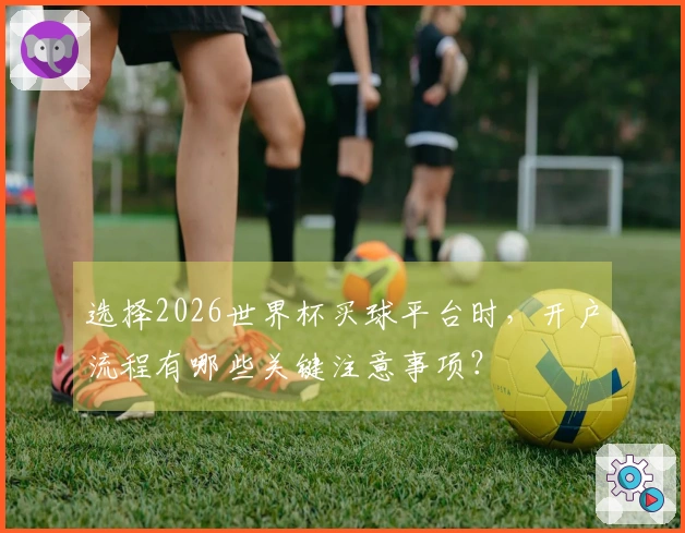 选择2026世界杯买球平台时，开户流程有哪些关键注意事项？
