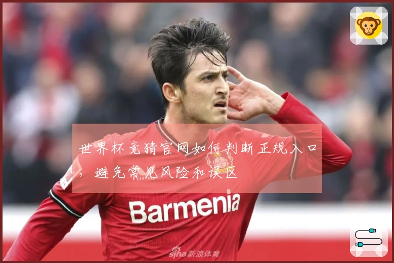 世界杯竞猜官网如何判断正规入口，避免常见风险和误区