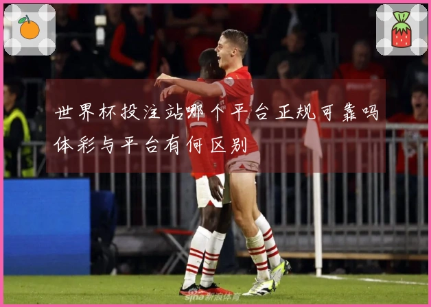 世界杯投注站哪个平台正规可靠吗体彩与平台有何区别