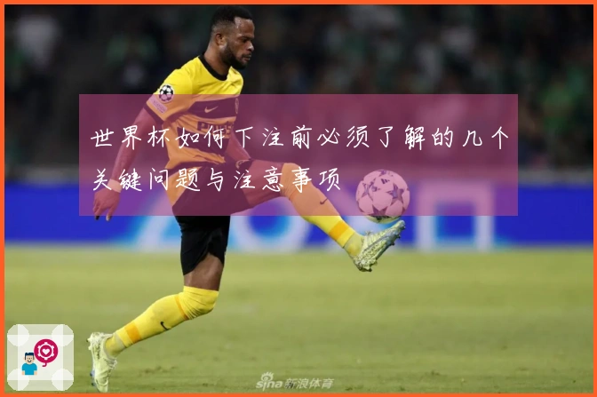 世界杯如何下注前必须了解的几个关键问题与注意事项