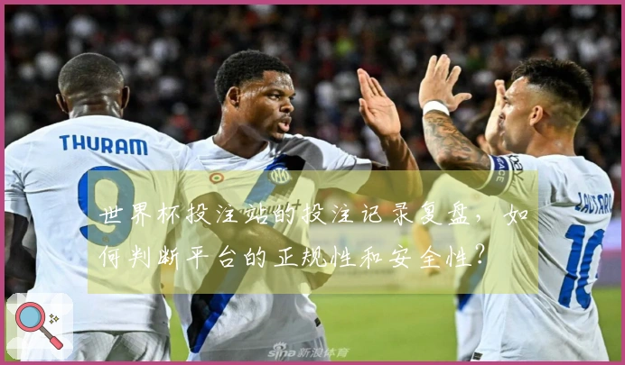 世界杯投注站的投注记录复盘，如何判断平台的正规性和安全性？