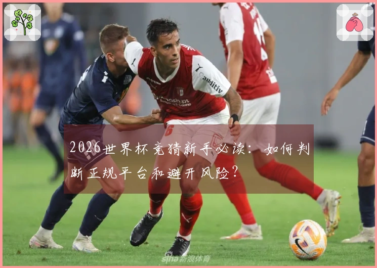 2026世界杯竞猜新手必读：如何判断正规平台和避开风险？