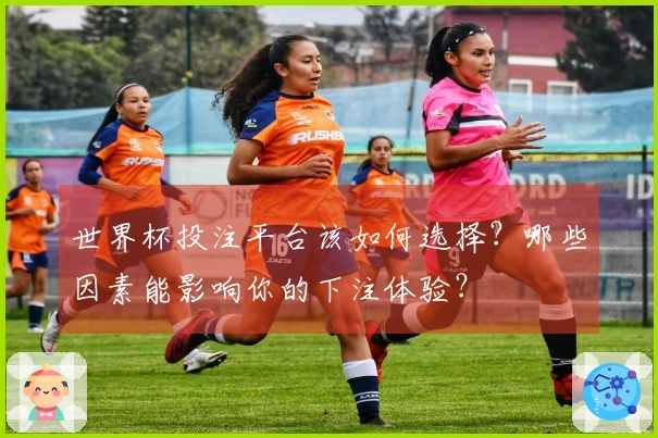 世界杯投注平台该如何选择？哪些因素能影响你的下注体验？