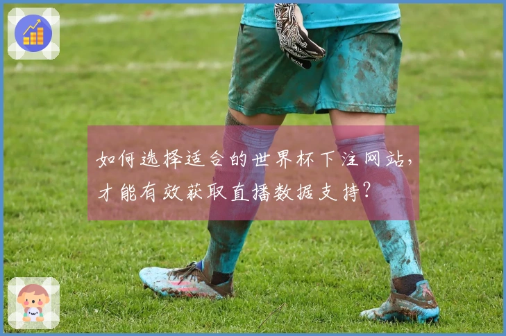 如何选择适合的世界杯下注网站，才能有效获取直播数据支持？