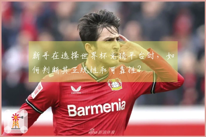 新手在选择世界杯竞猜平台时，如何判断其正规性和可靠性？