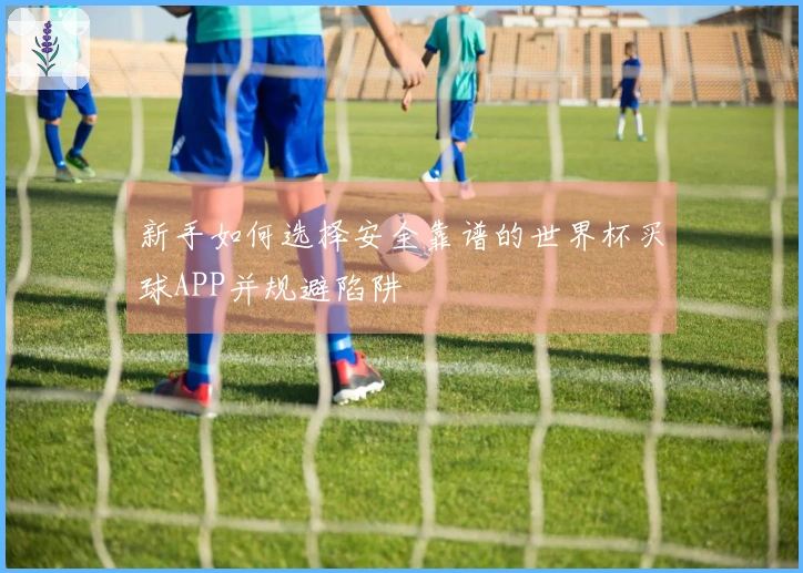 新手如何选择安全靠谱的世界杯买球APP并规避陷阱