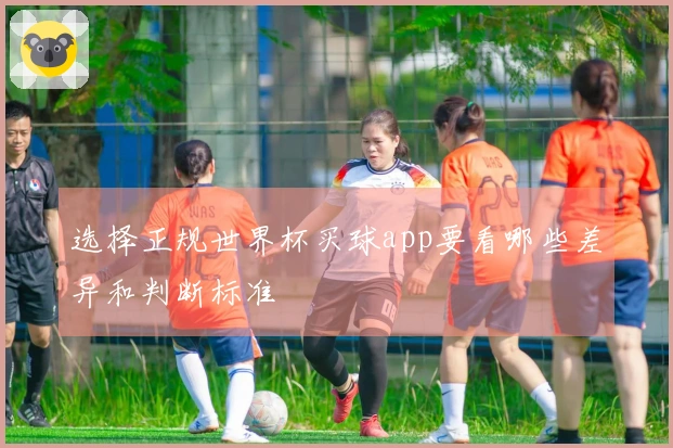 选择正规世界杯买球app要看哪些差异和判断标准