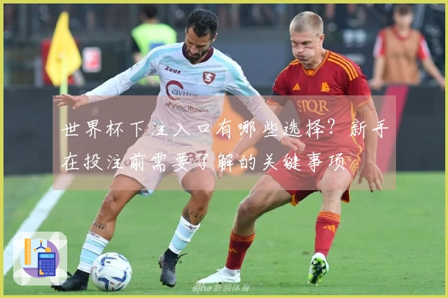世界杯下注入口有哪些选择？新手在投注前需要了解的关键事项