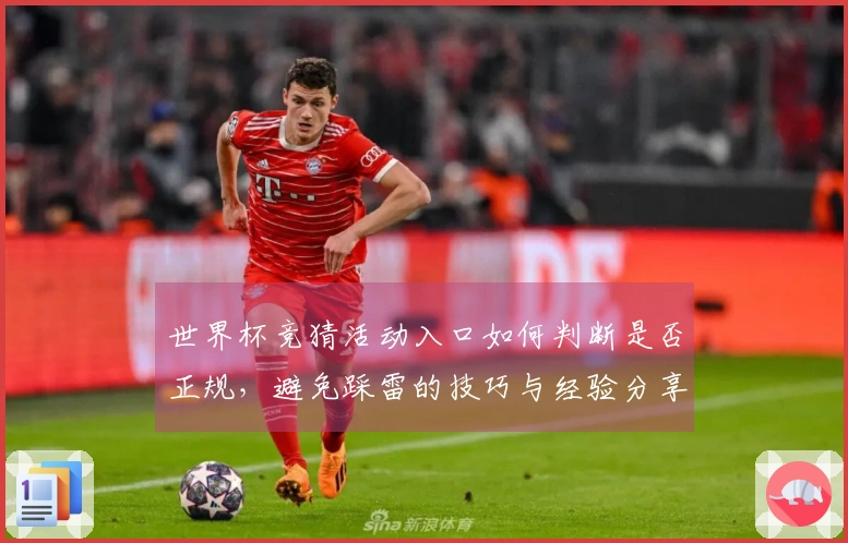 世界杯竞猜活动入口如何判断是否正规，避免踩雷的技巧与经验分享