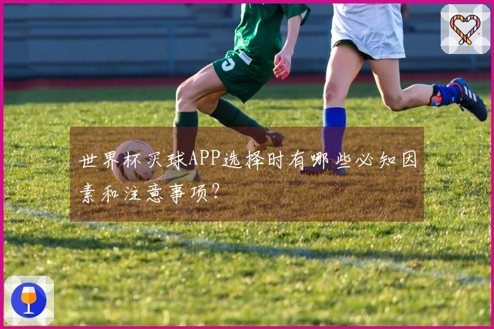 世界杯买球APP选择时有哪些必知因素和注意事项？