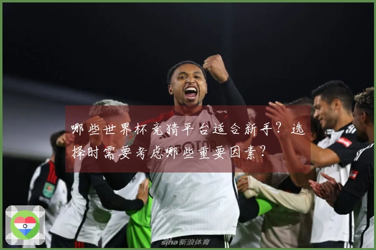 哪些世界杯竞猜平台适合新手？选择时需要考虑哪些重要因素？