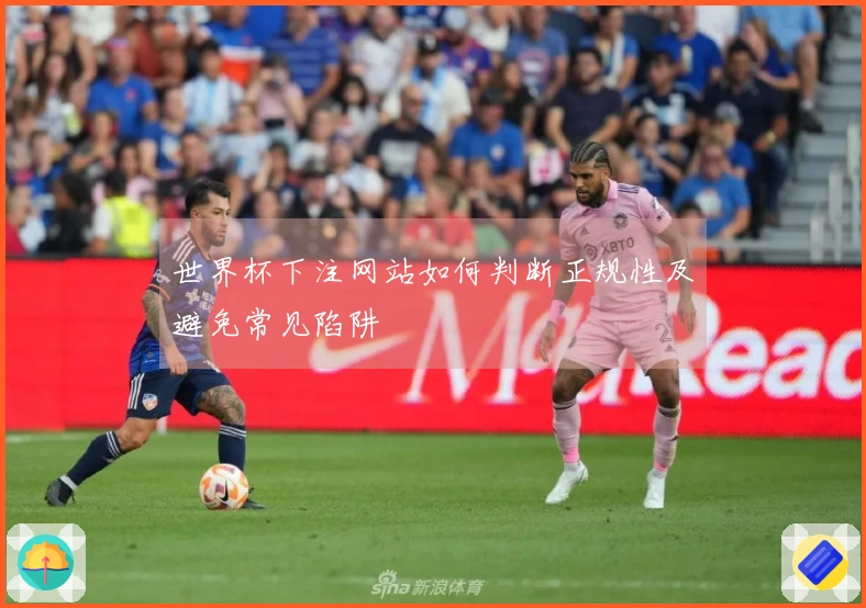 世界杯下注网站如何判断正规性及避免常见陷阱