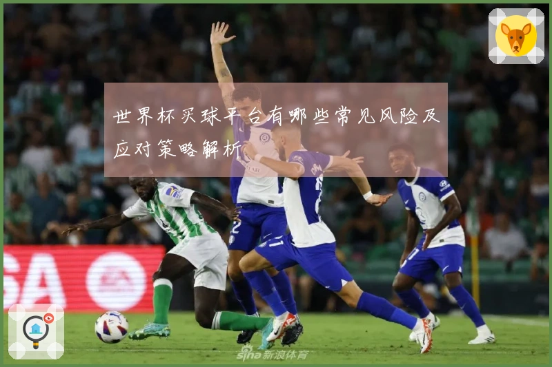 世界杯买球平台有哪些常见风险及应对策略解析