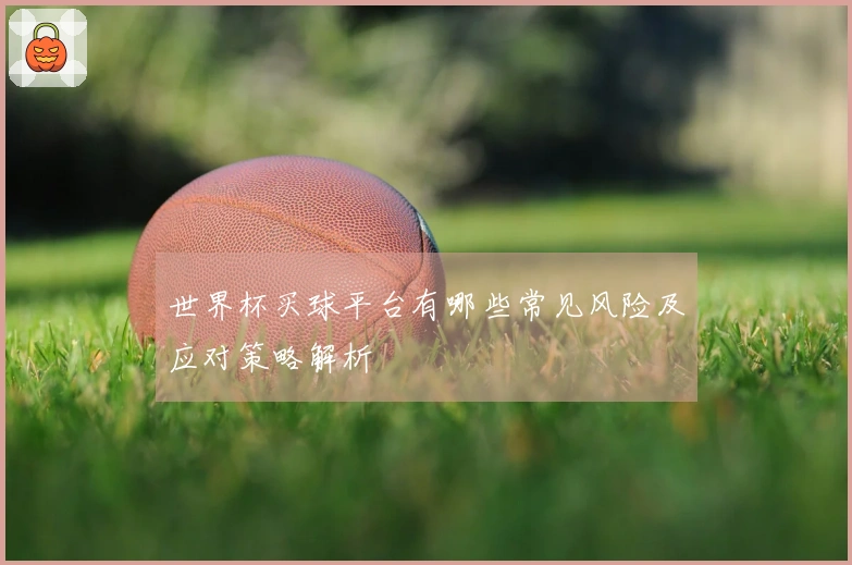 世界杯买球平台有哪些常见风险及应对策略解析