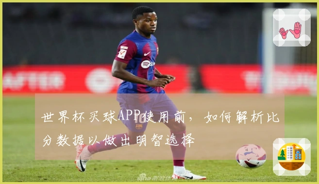 世界杯买球APP使用前，如何解析比分数据以做出明智选择