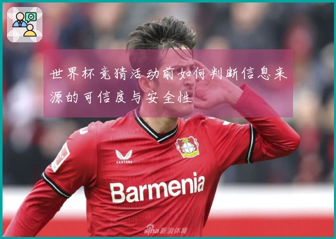 世界杯竞猜活动前如何判断信息来源的可信度与安全性