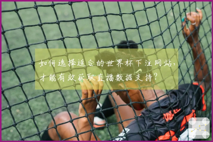 如何选择适合的世界杯下注网站，才能有效获取直播数据支持？