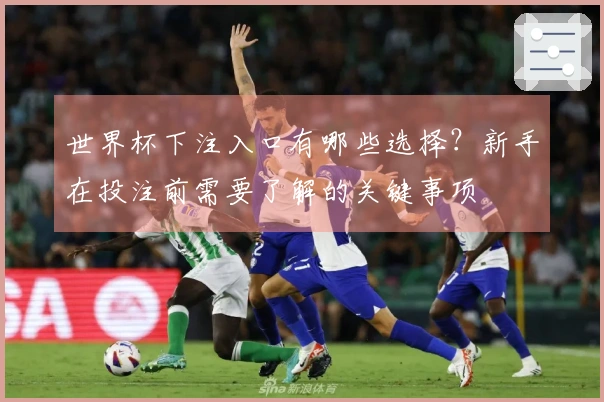 世界杯下注入口有哪些选择？新手在投注前需要了解的关键事项
