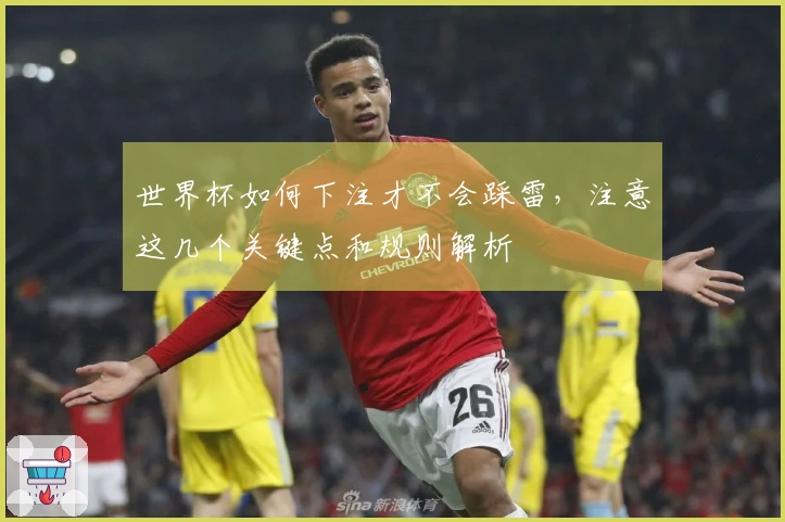 世界杯如何下注才不会踩雷，注意这几个关键点和规则解析