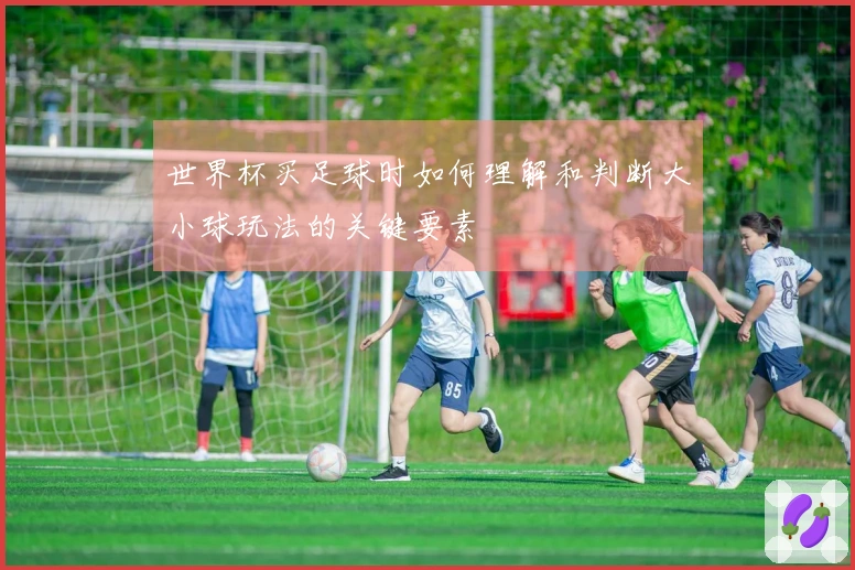 世界杯买足球时如何理解和判断大小球玩法的关键要素