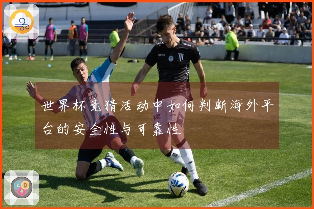 世界杯竞猜活动中如何判断海外平台的安全性与可靠性
