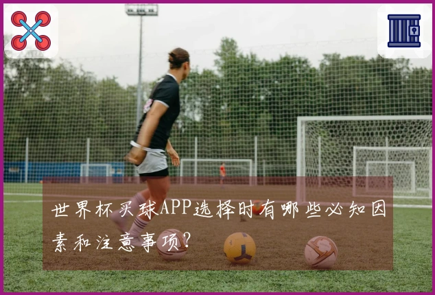 世界杯买球APP选择时有哪些必知因素和注意事项？