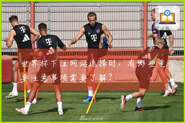 世界杯下注网站选择时，有哪些重要注意事项需要了解？