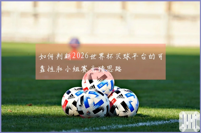 如何判断2026世界杯买球平台的可靠性和小组赛竞猜思路