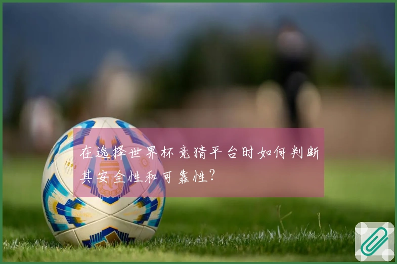在选择世界杯竞猜平台时如何判断其安全性和可靠性？