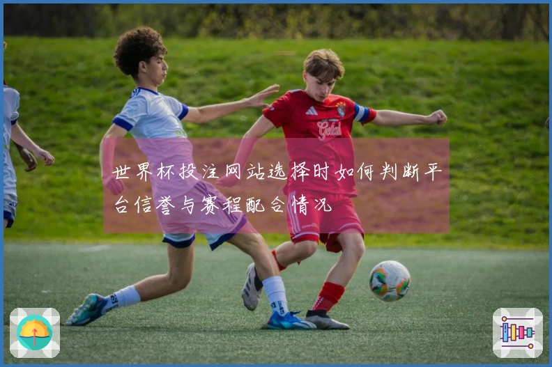 世界杯投注网站选择时如何判断平台信誉与赛程配合情况
