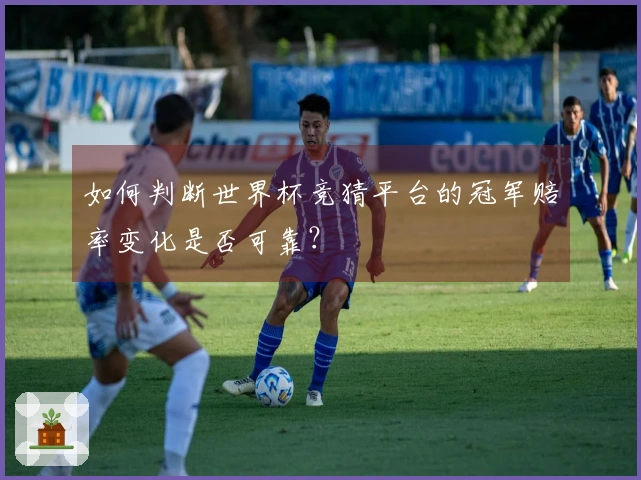如何判断世界杯竞猜平台的冠军赔率变化是否可靠？